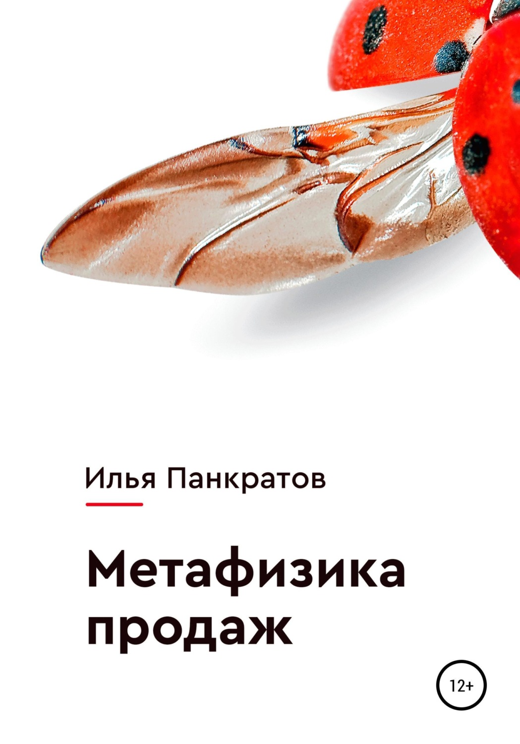Обложка книги «Метафизика продаж»