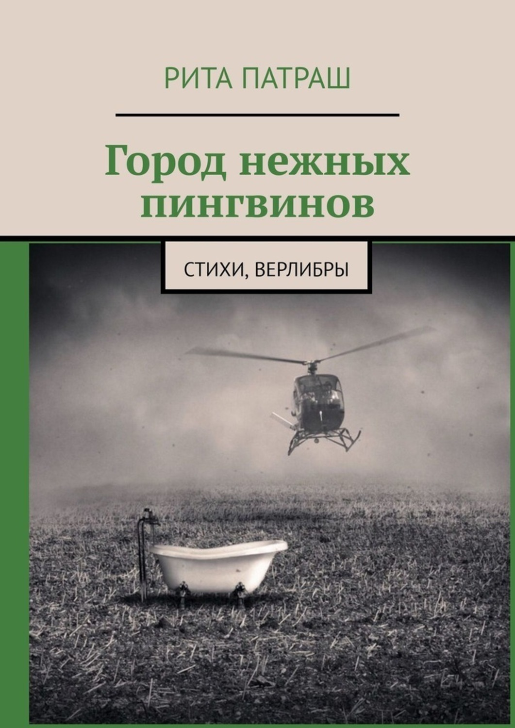 Обложка книги «Город нежных пингвинов. Стихи, верлибры»