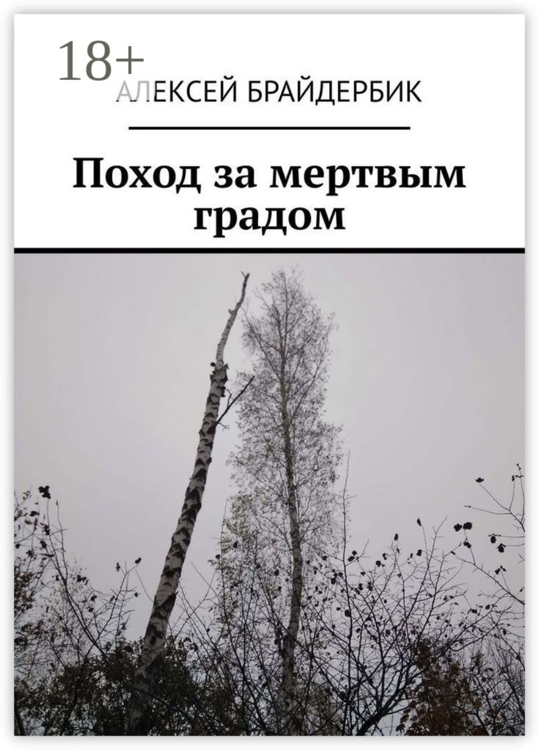 Обложка книги «Поход за мертвым градом»