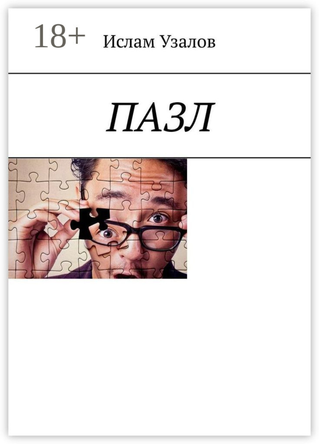 Обложка книги «ПАЗЛ»