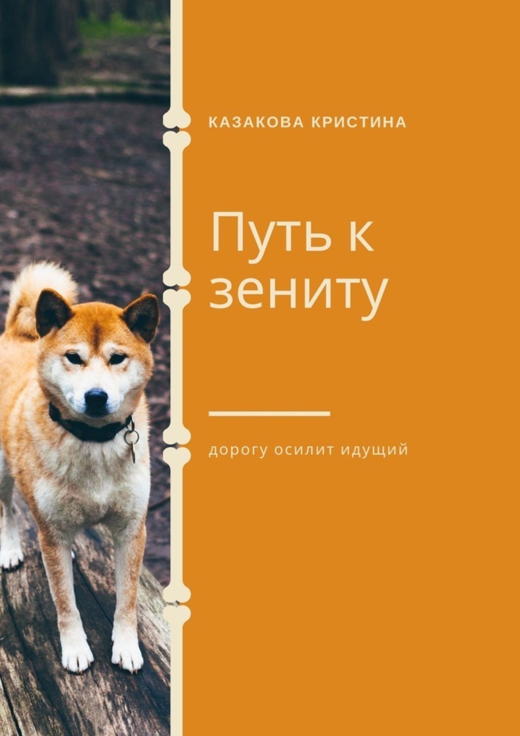 Обложка книги «Путь к зениту»