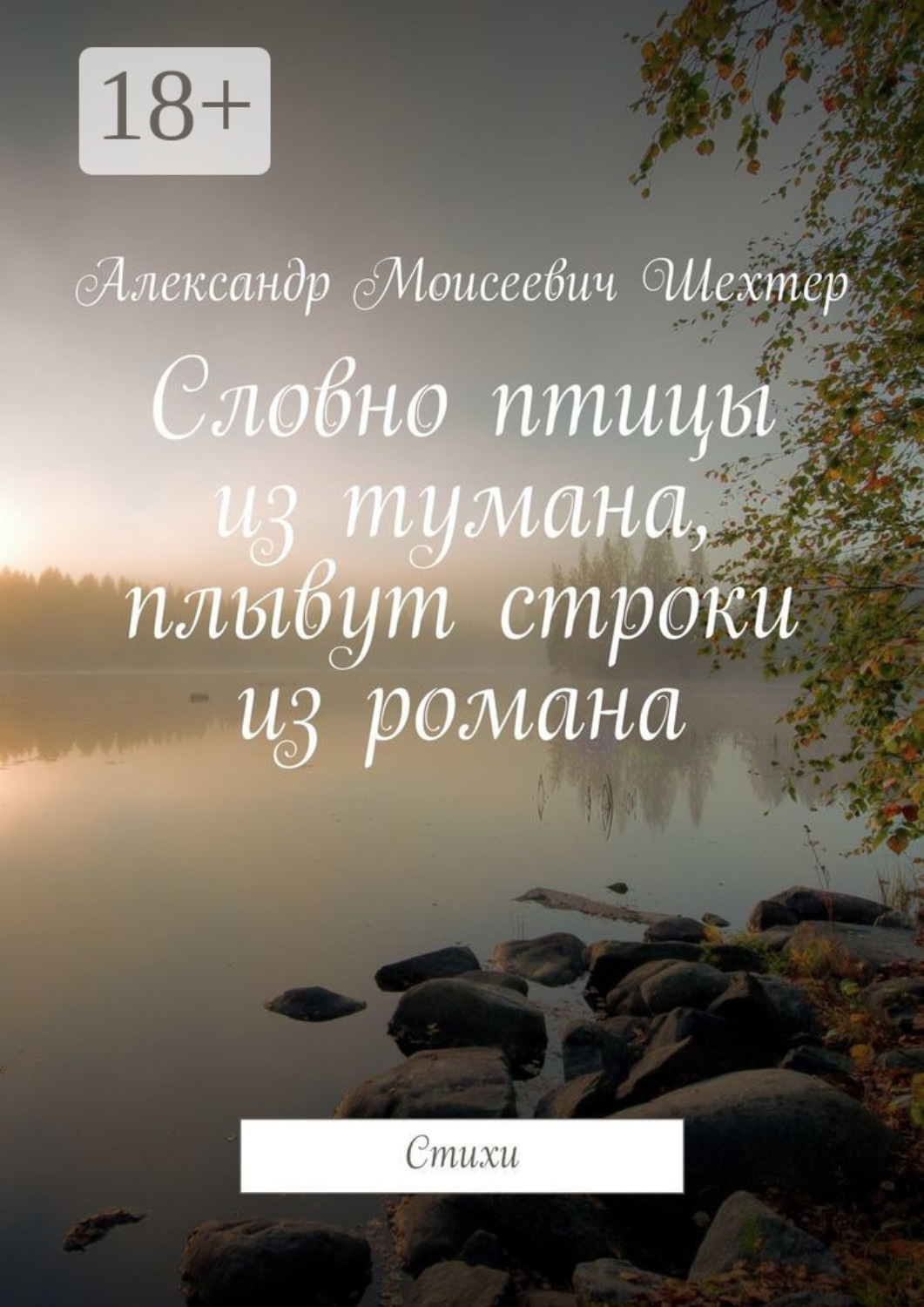 Обложка книги «Словно птицы из тумана, плывут строки из романа. Стихи»