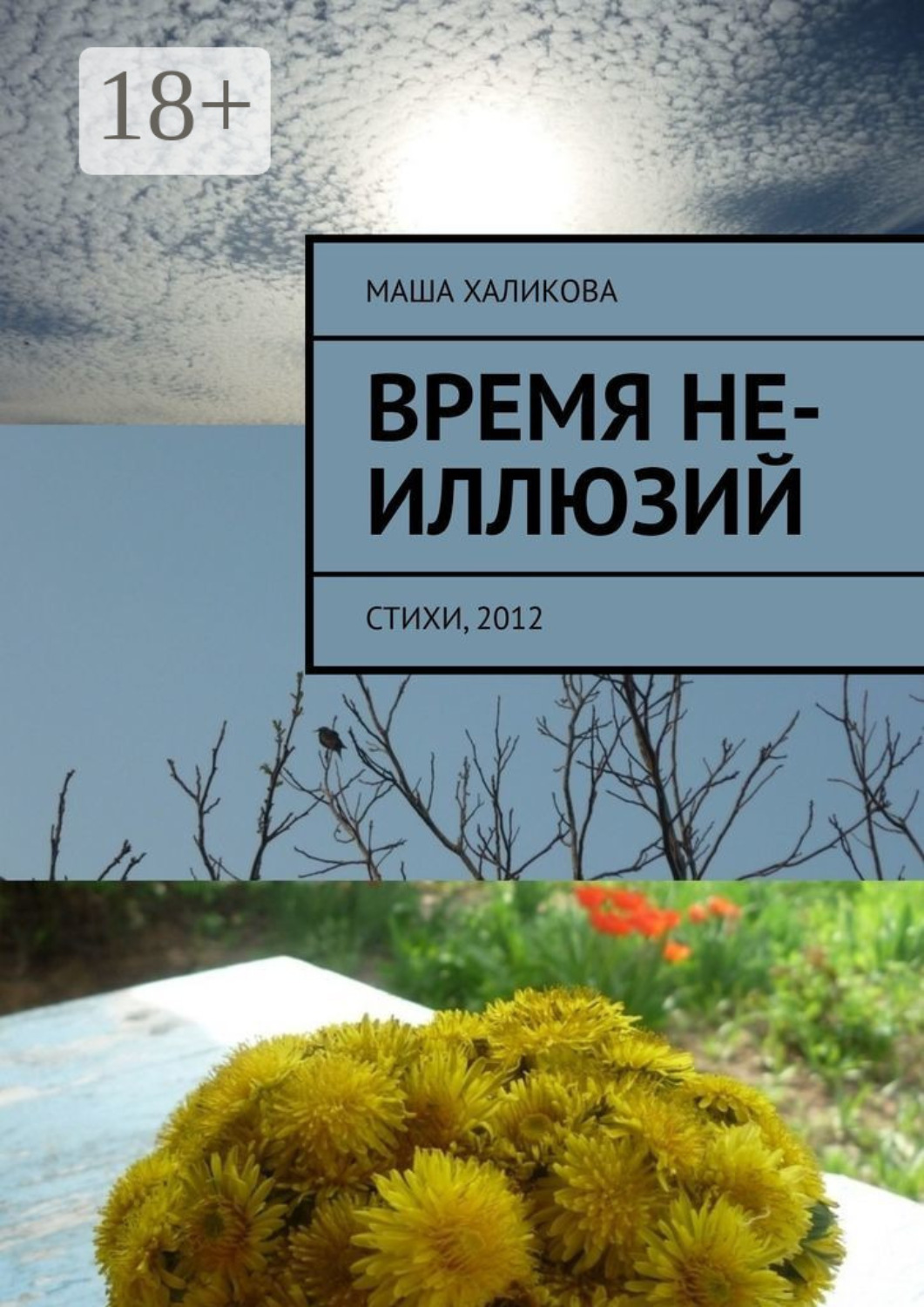 Обложка книги «Время не-иллюзий. Стихи, 2012»