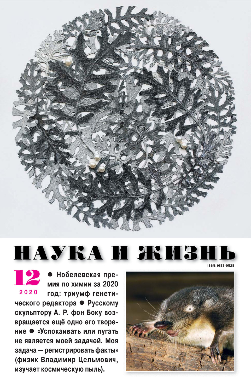 Обложка книги «Наука и жизнь №12/2020»