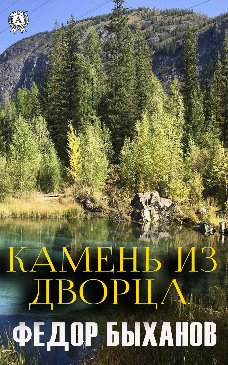 Обложка книги «Камень из дворца»