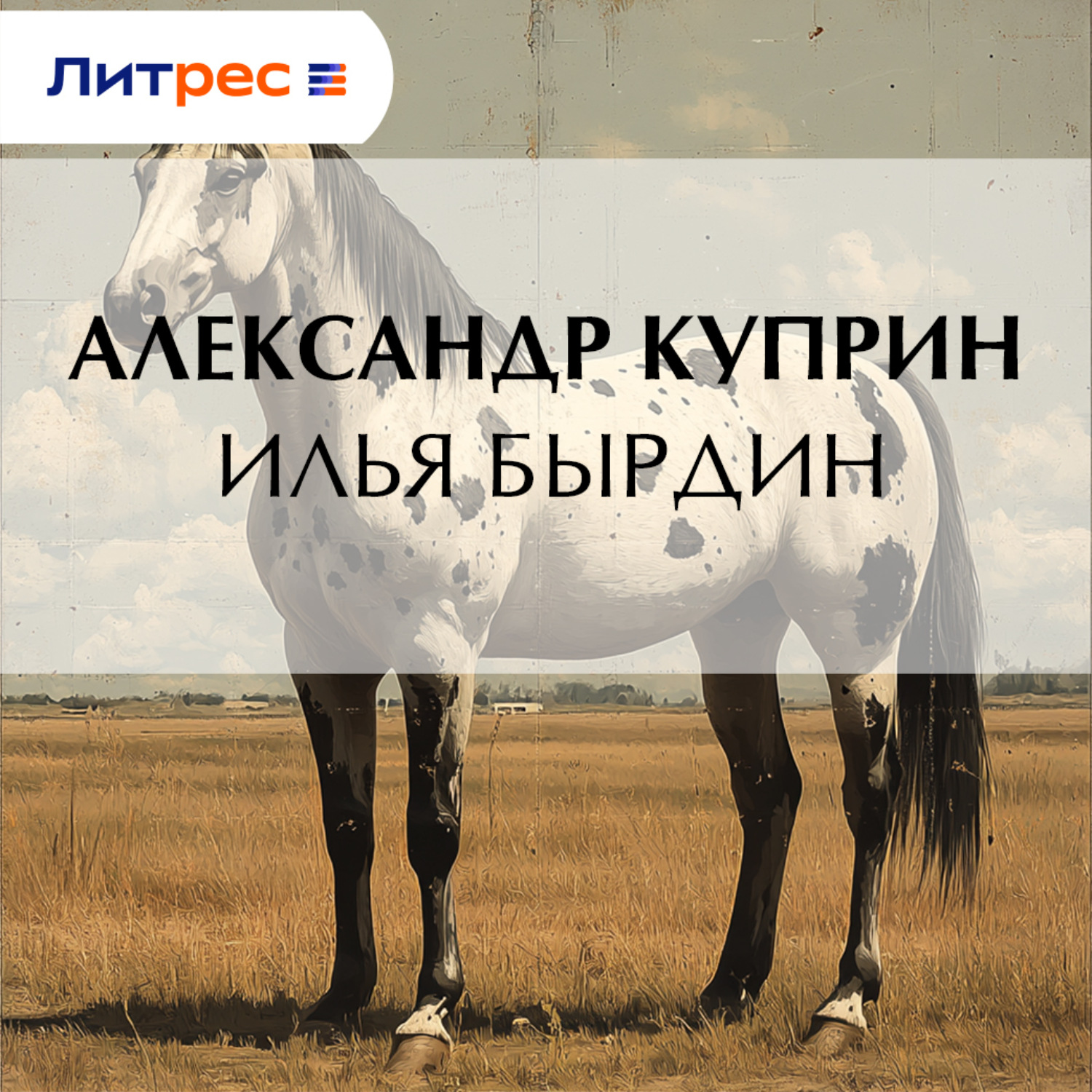Обложка книги «Илья Бырдин»