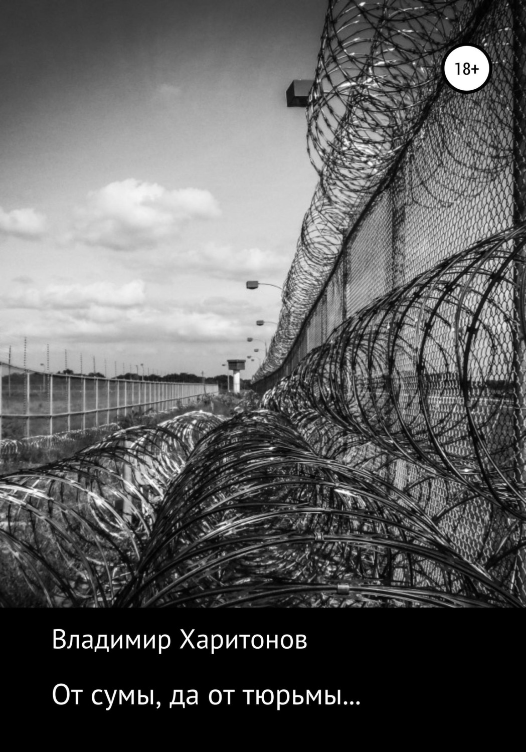 Обложка книги «От сумы, да от тюрьмы...»