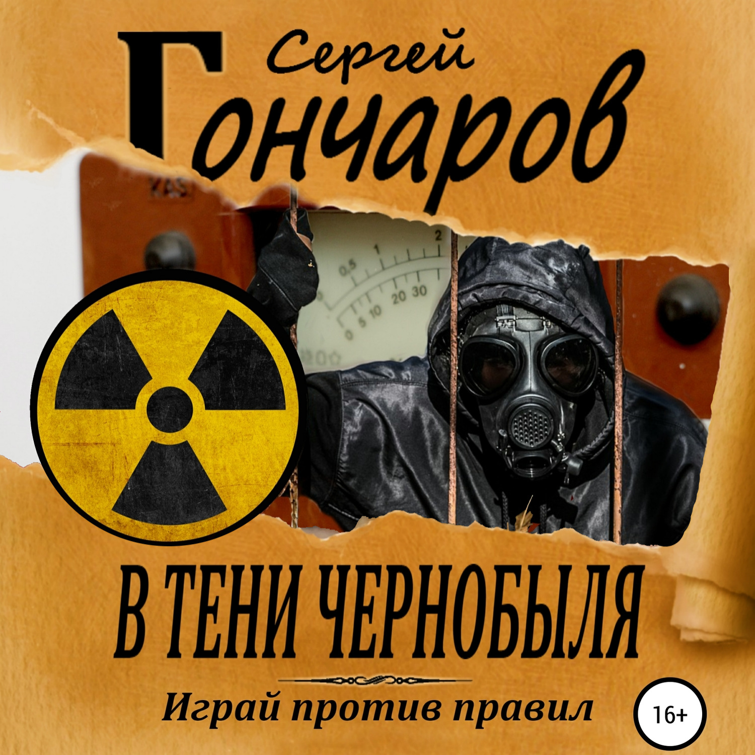 Обложка книги «В тени Чернобыля»