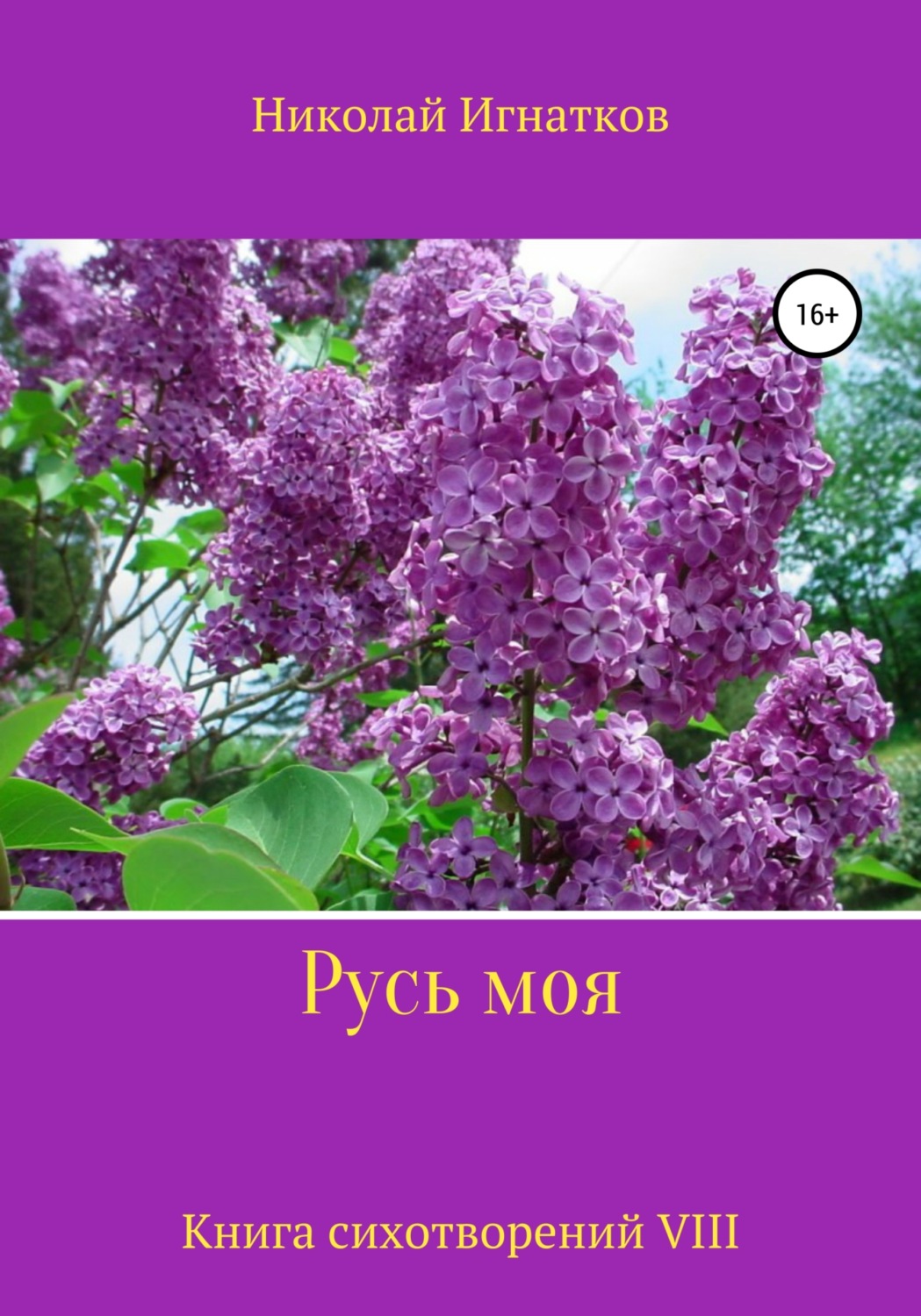 Обложка книги «Русь моя. Книга VIII»