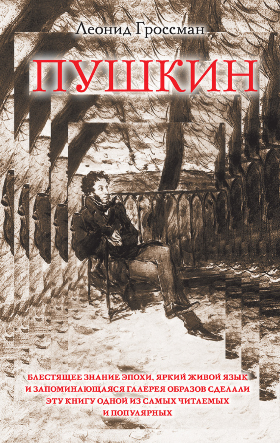 Обложка книги «Пушкин»