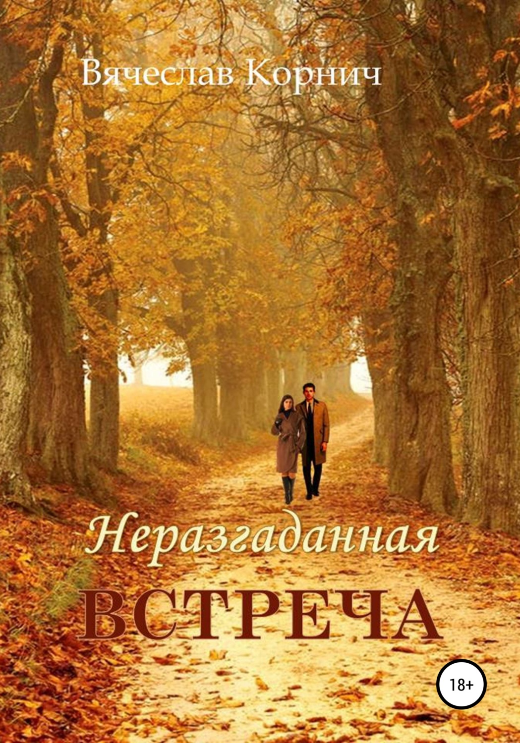 Обложка книги «Неразгаданная встреча»