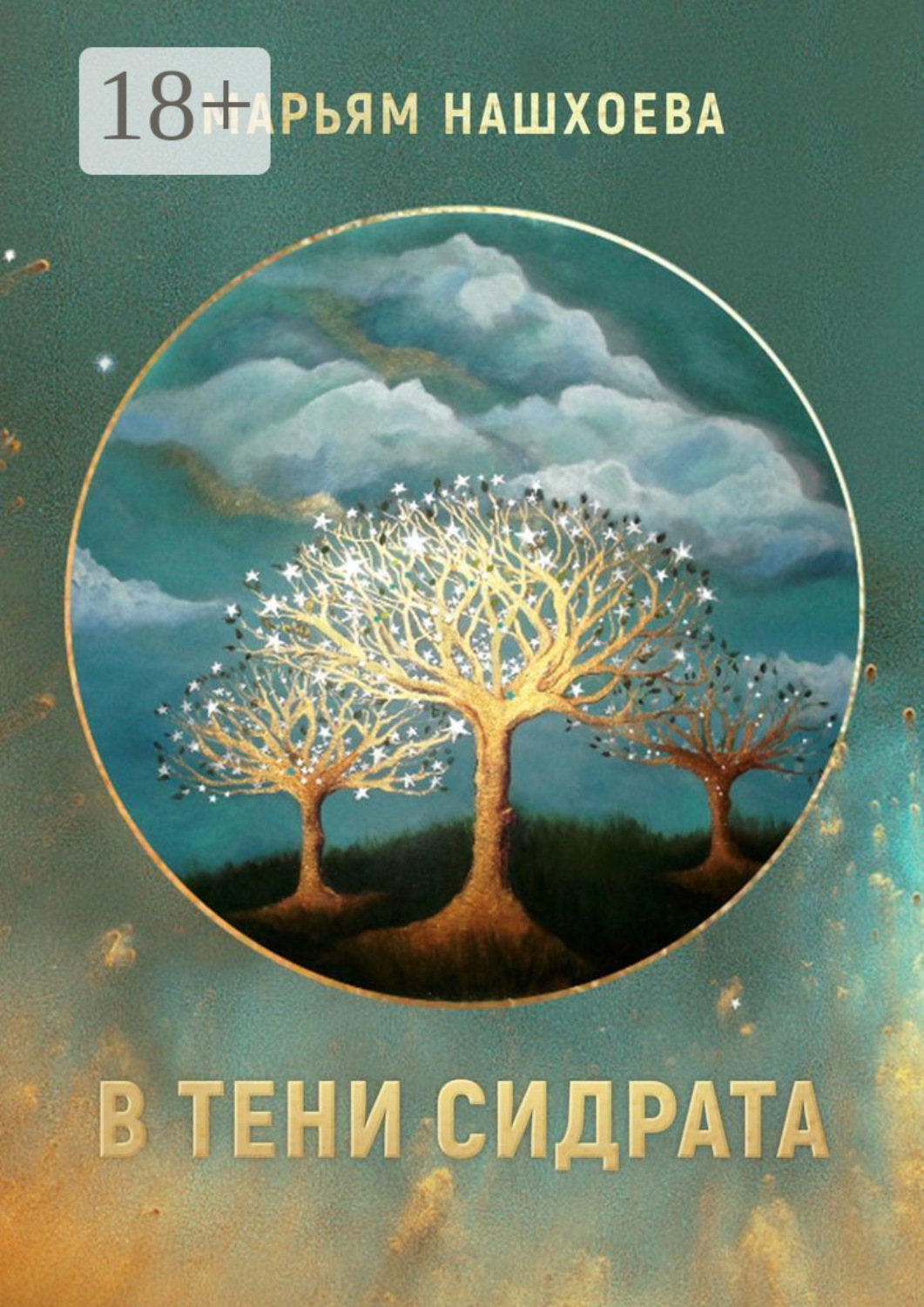 Обложка книги «В тени Сидрата. Сборник рассказов»