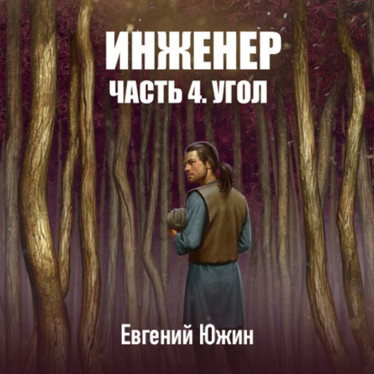 Обложка книги «Инженер. Часть 4. Угол»