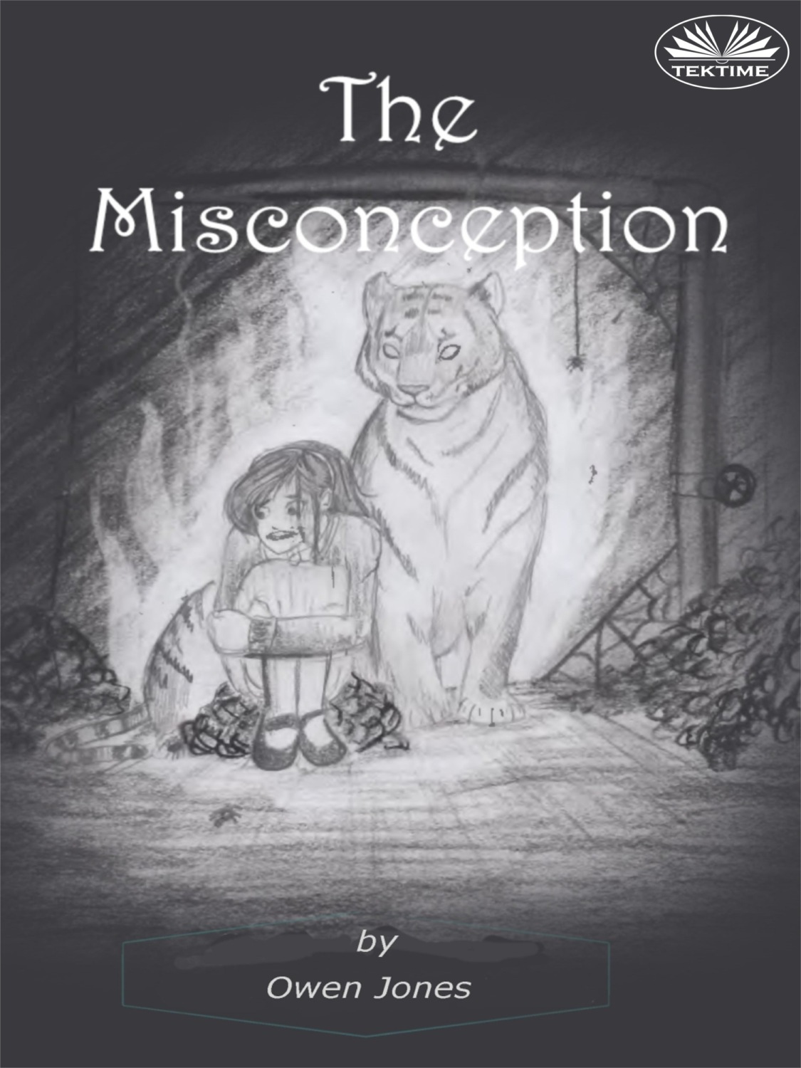Обложка книги «The Misconception»