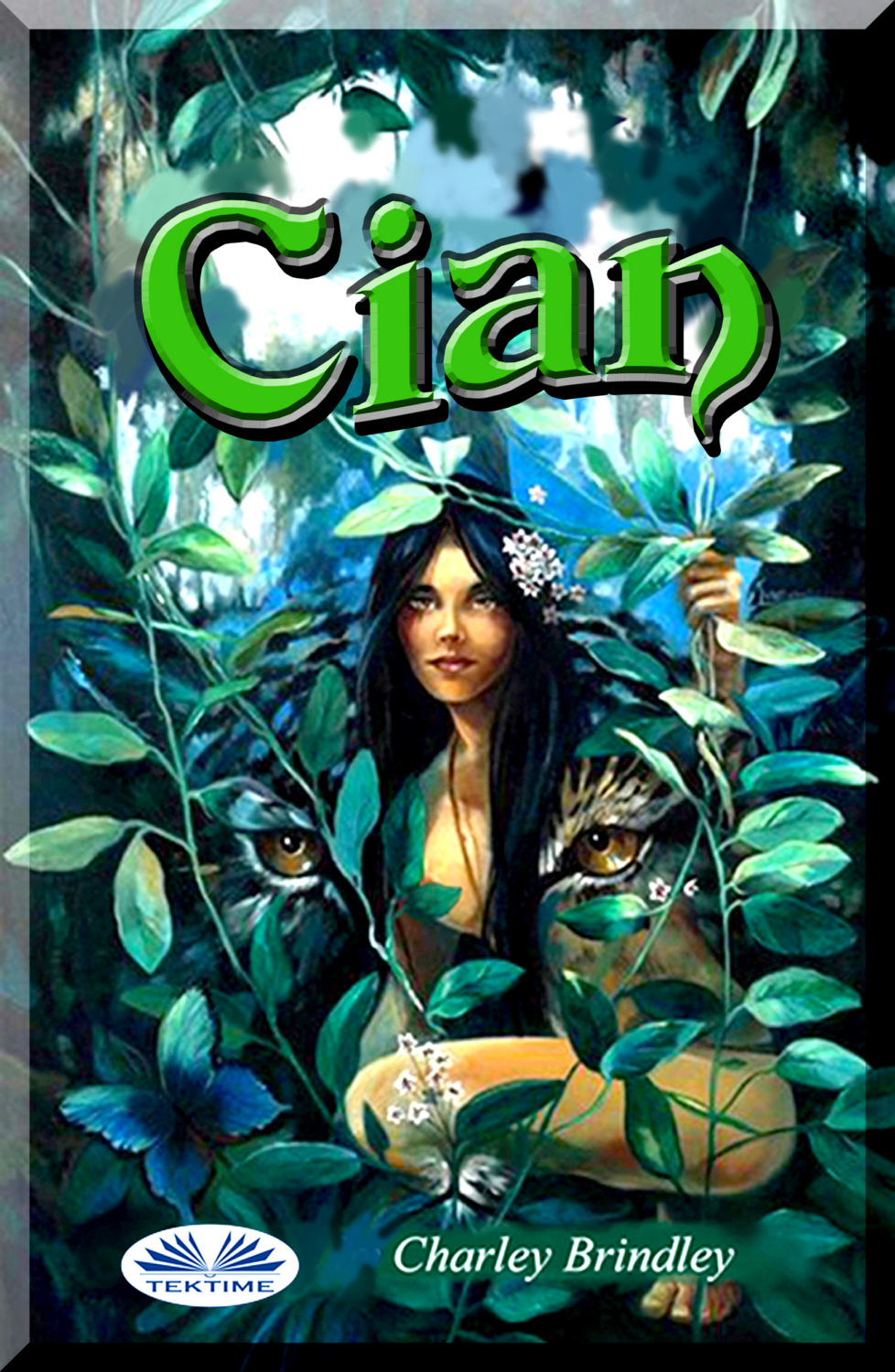 Обложка книги «Cian»