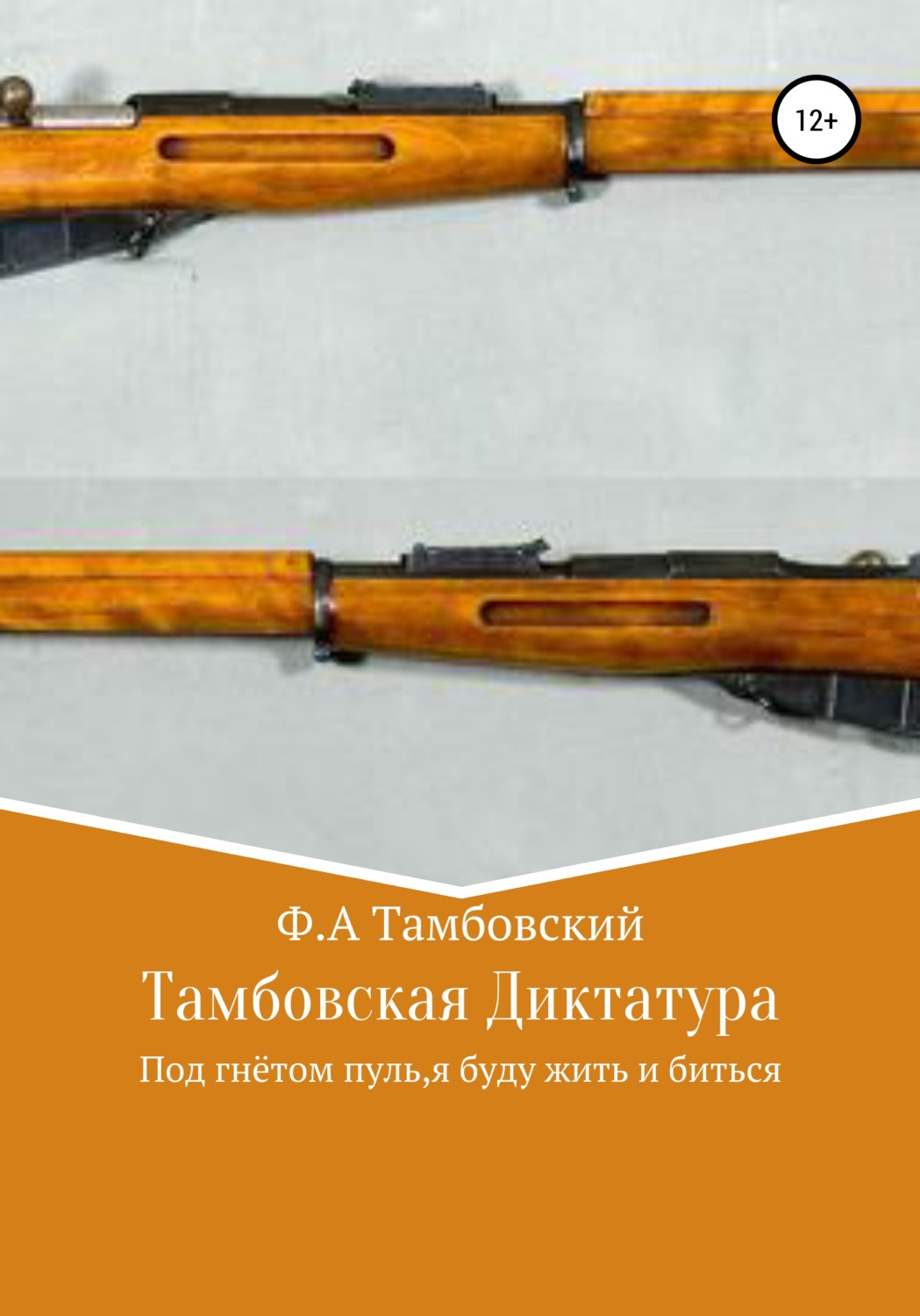 Обложка книги «Тамбовская диктатура»