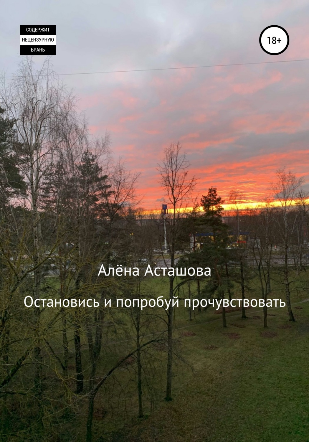 Обложка книги «Остановись и попробуй прочувствовать»