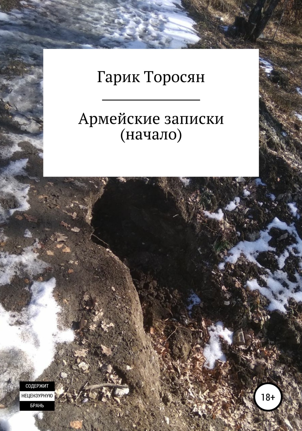 Обложка книги «Армейские записки. Начало»