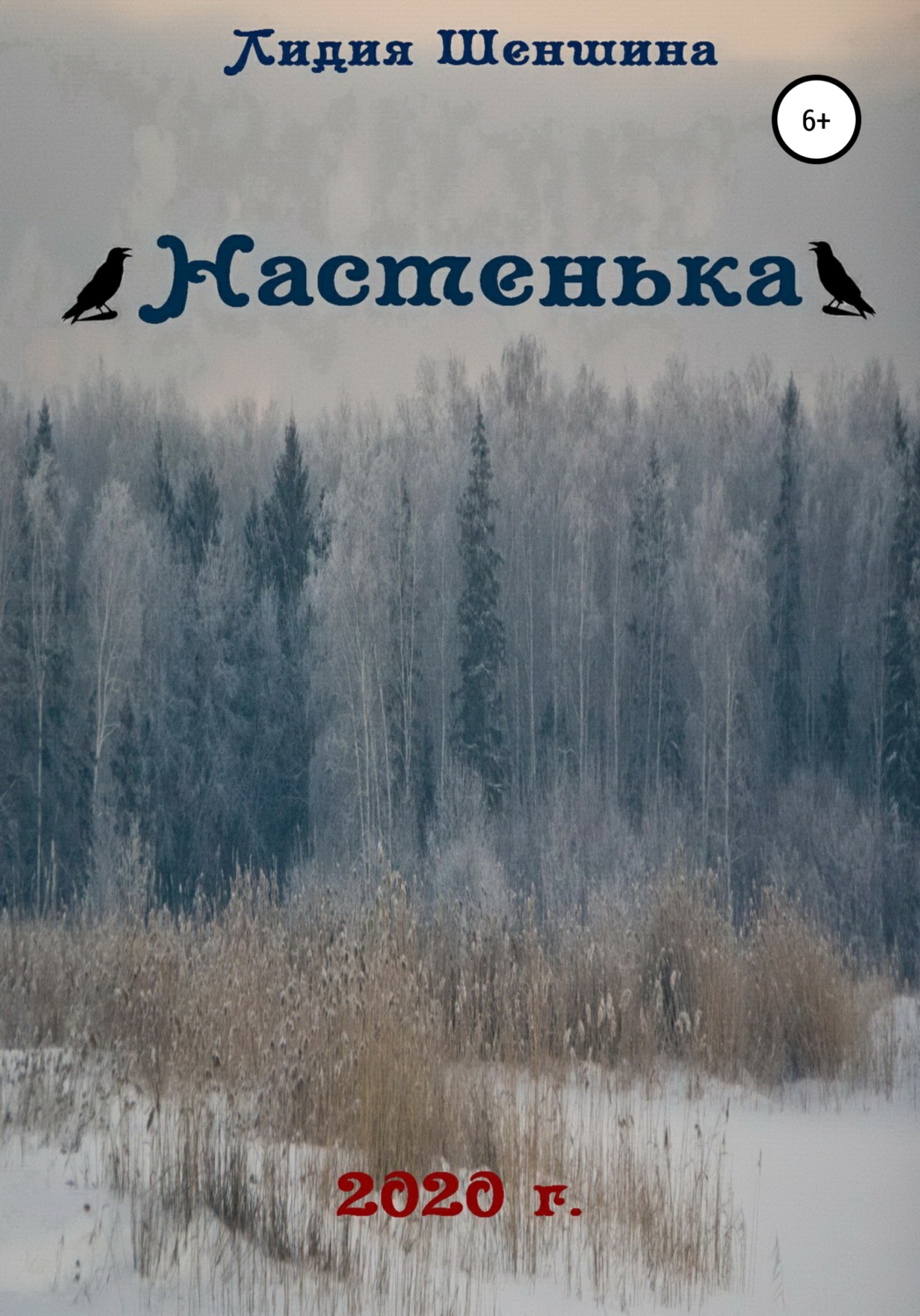 Обложка книги «Настенька»
