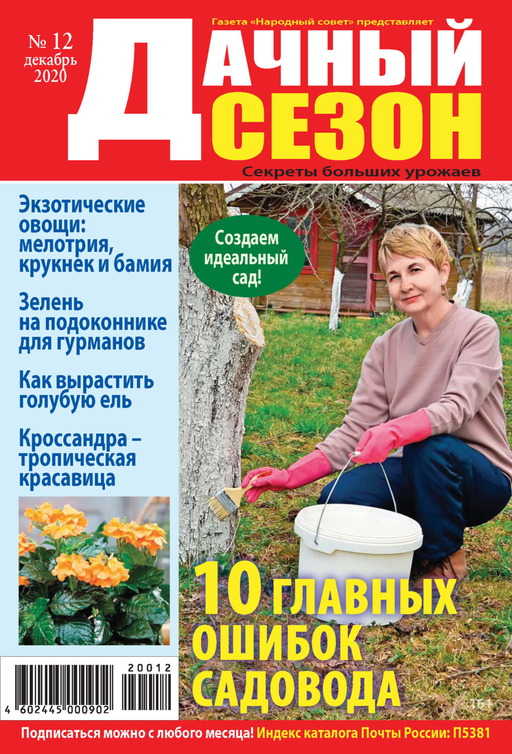 Обложка книги «Дачный сезон №12/2020»