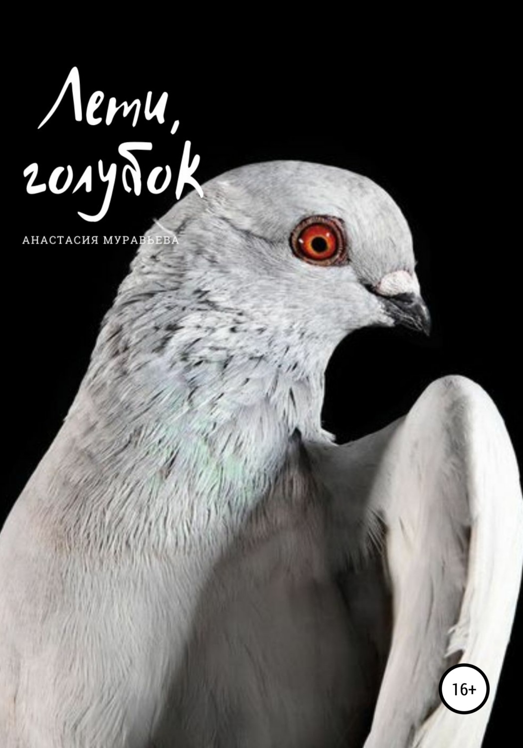 Обложка книги «Лети, голубок»