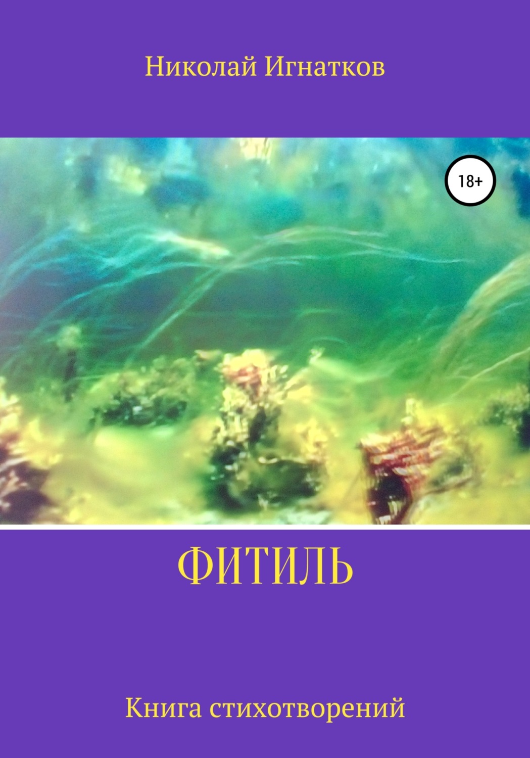 Обложка книги «Фитиль»