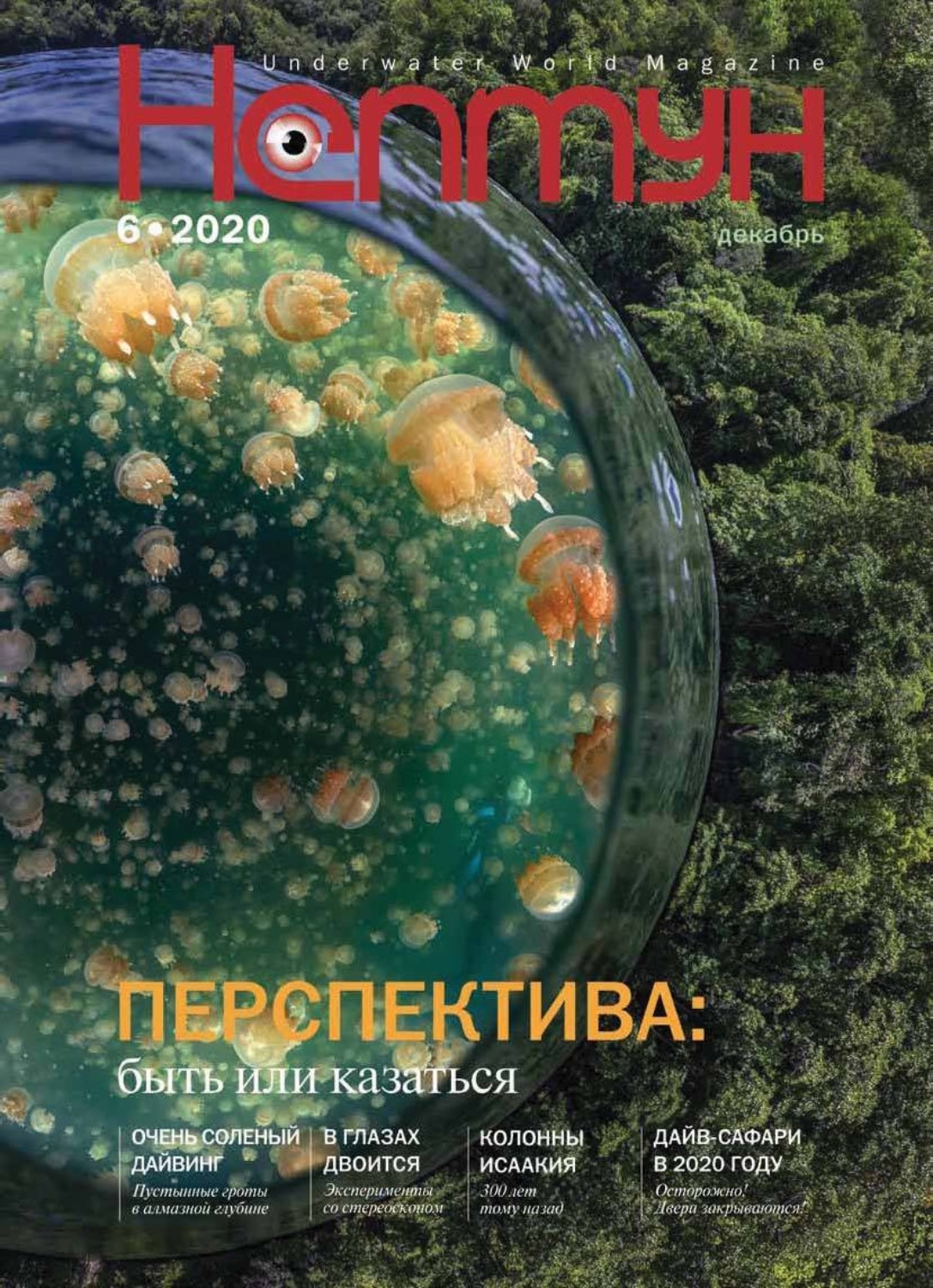 Обложка книги «Нептун №6/2020»