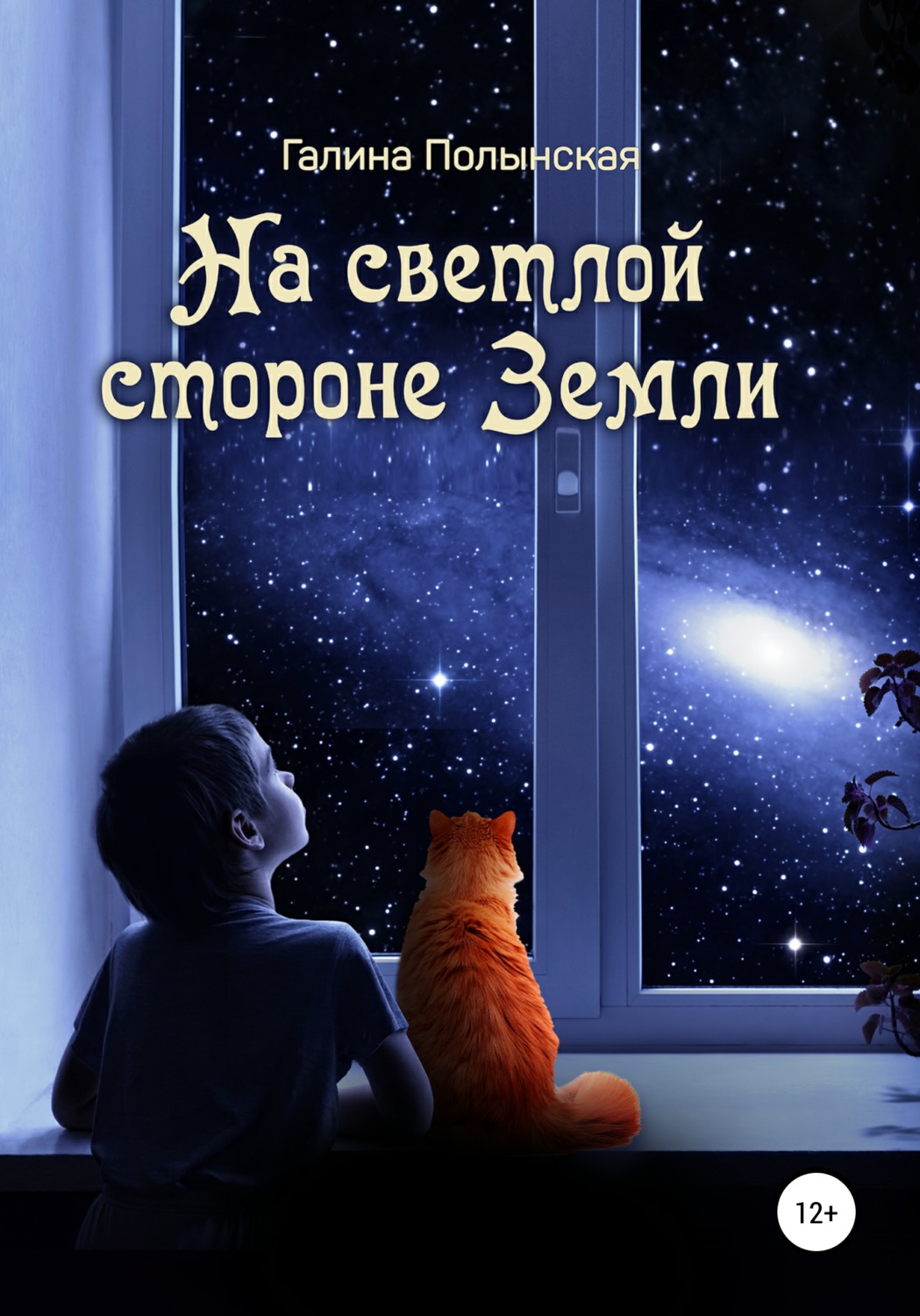 Обложка книги «На светлой стороне Земли»