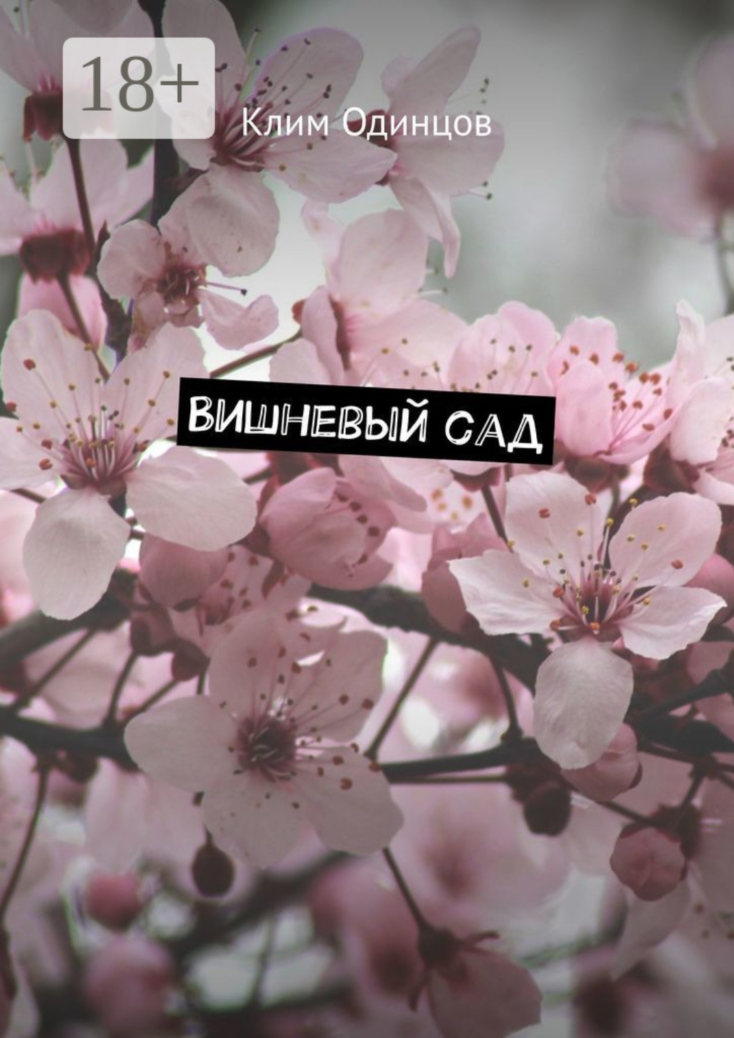 Обложка книги «Вишневый сад»