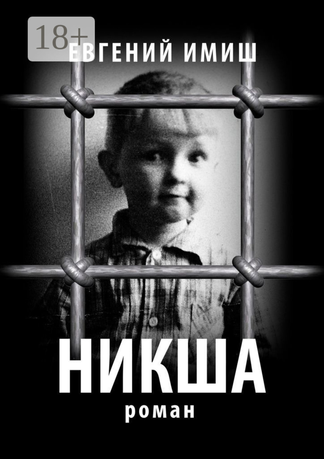 Обложка книги «Никша. Роман»