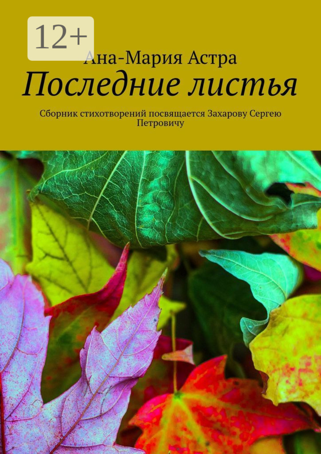 Обложка книги «Последние листья. Сборник стихотворений посвящается Захарову Сергею Петровичу»