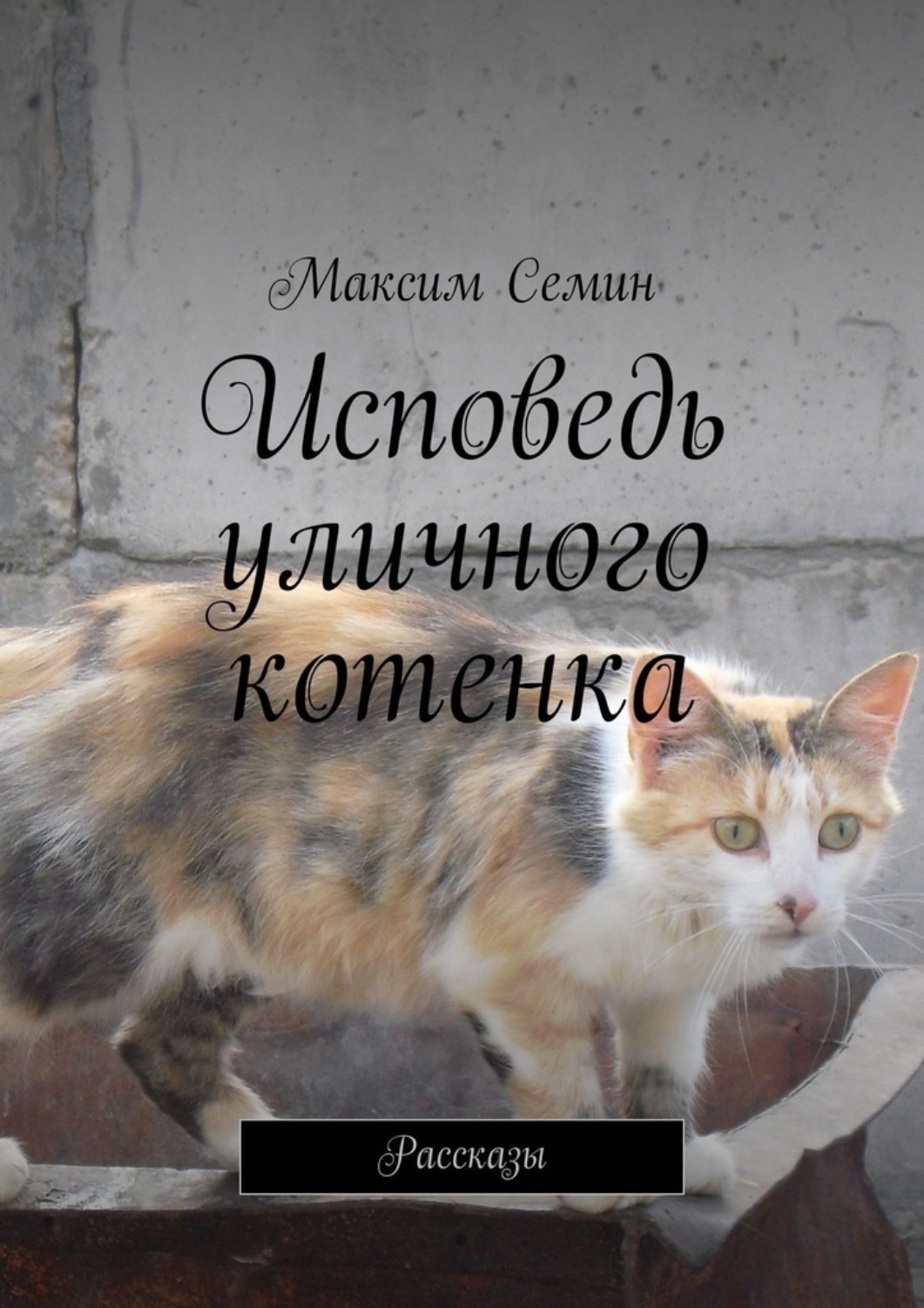 Обложка книги «Исповедь уличного котенка. Рассказы»