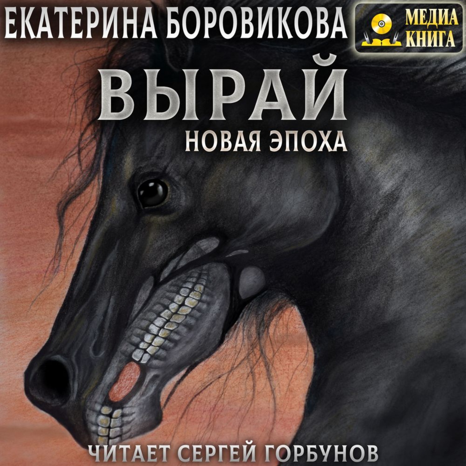 Обложка книги «Вырай. Новая эпоха»