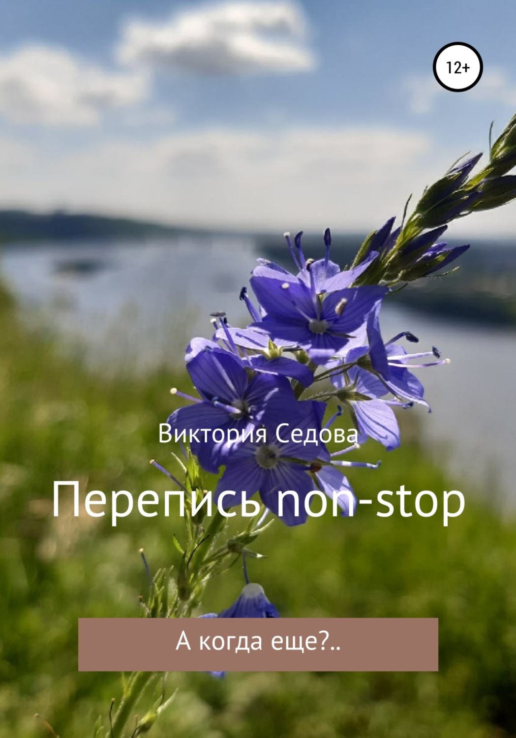 Обложка книги «Перепись non-stop»