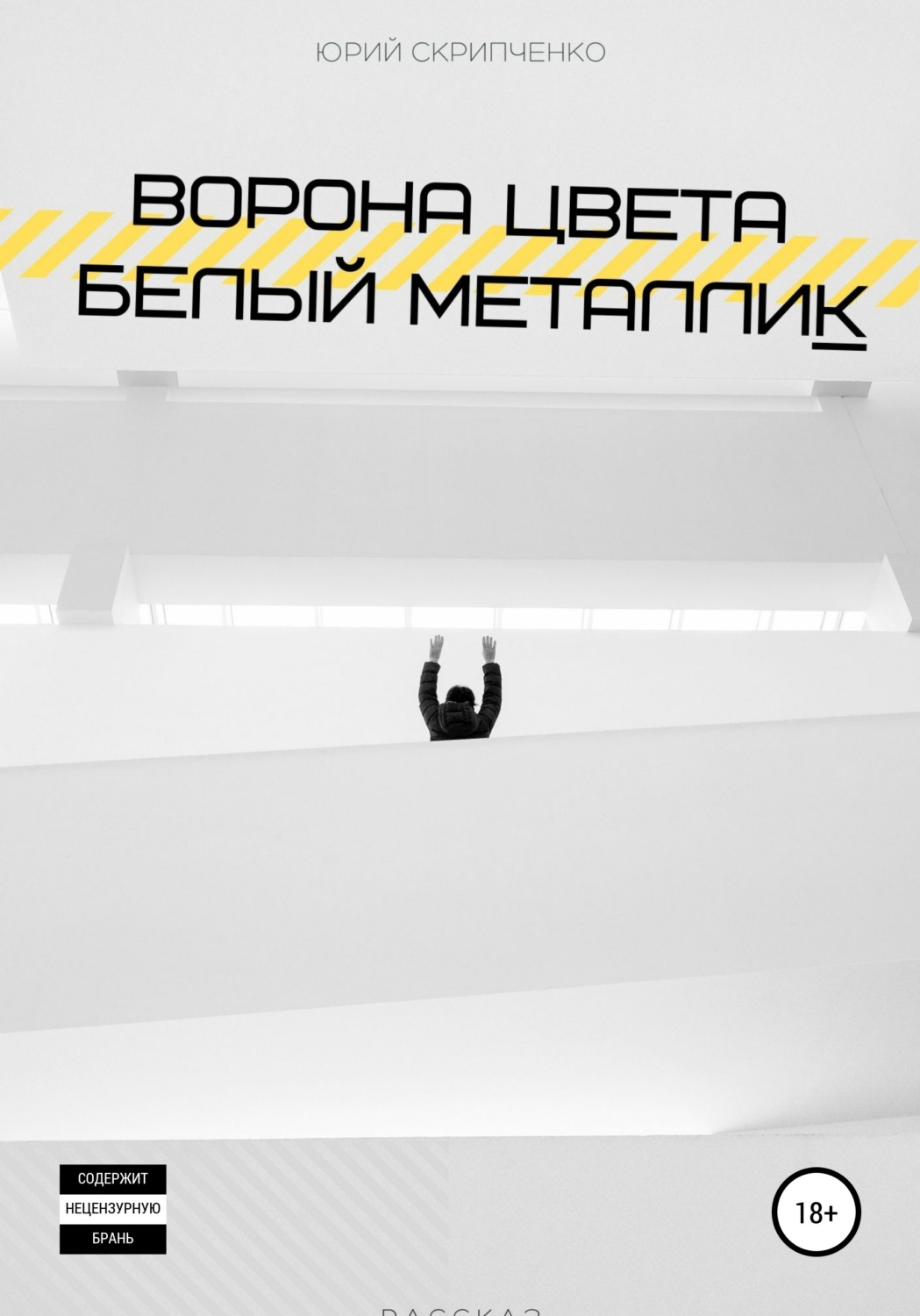 Обложка книги «Ворона цвета белый металлик»