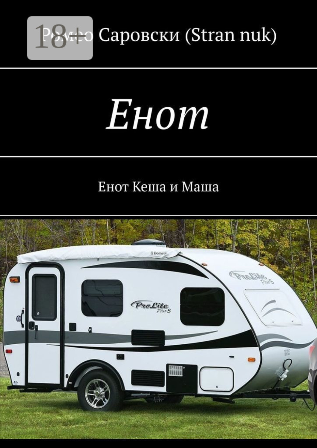 Обложка книги «Енот. Енот Кеша и Маша»