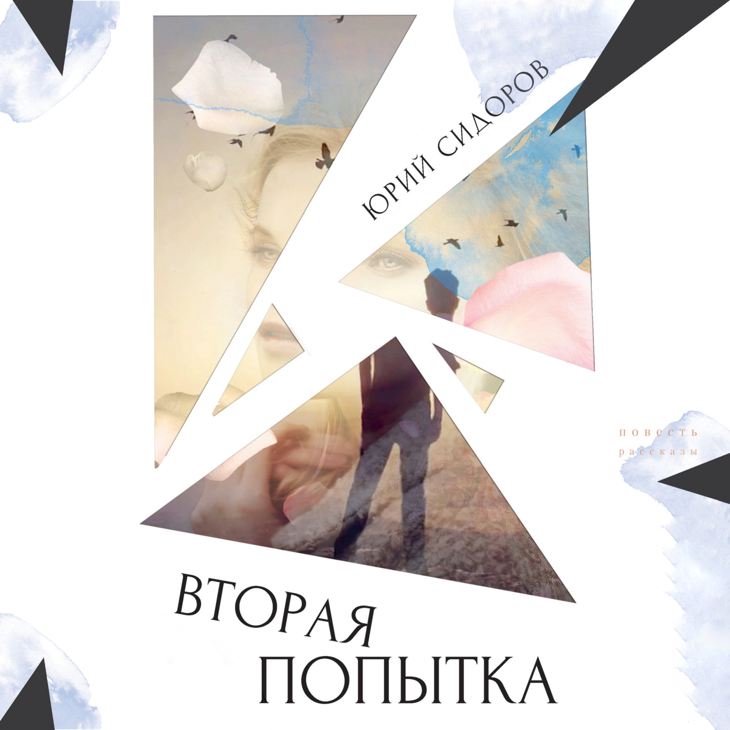Обложка книги «Вторая попытка»