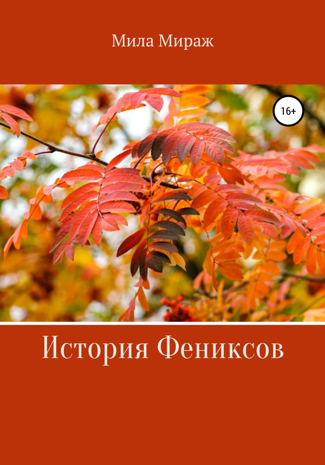 Обложка книги «История Фениксов»