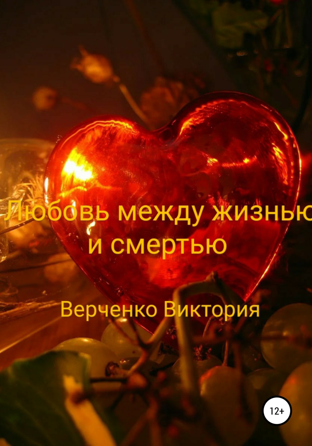 Обложка книги «Любовь между жизнью и смертью»