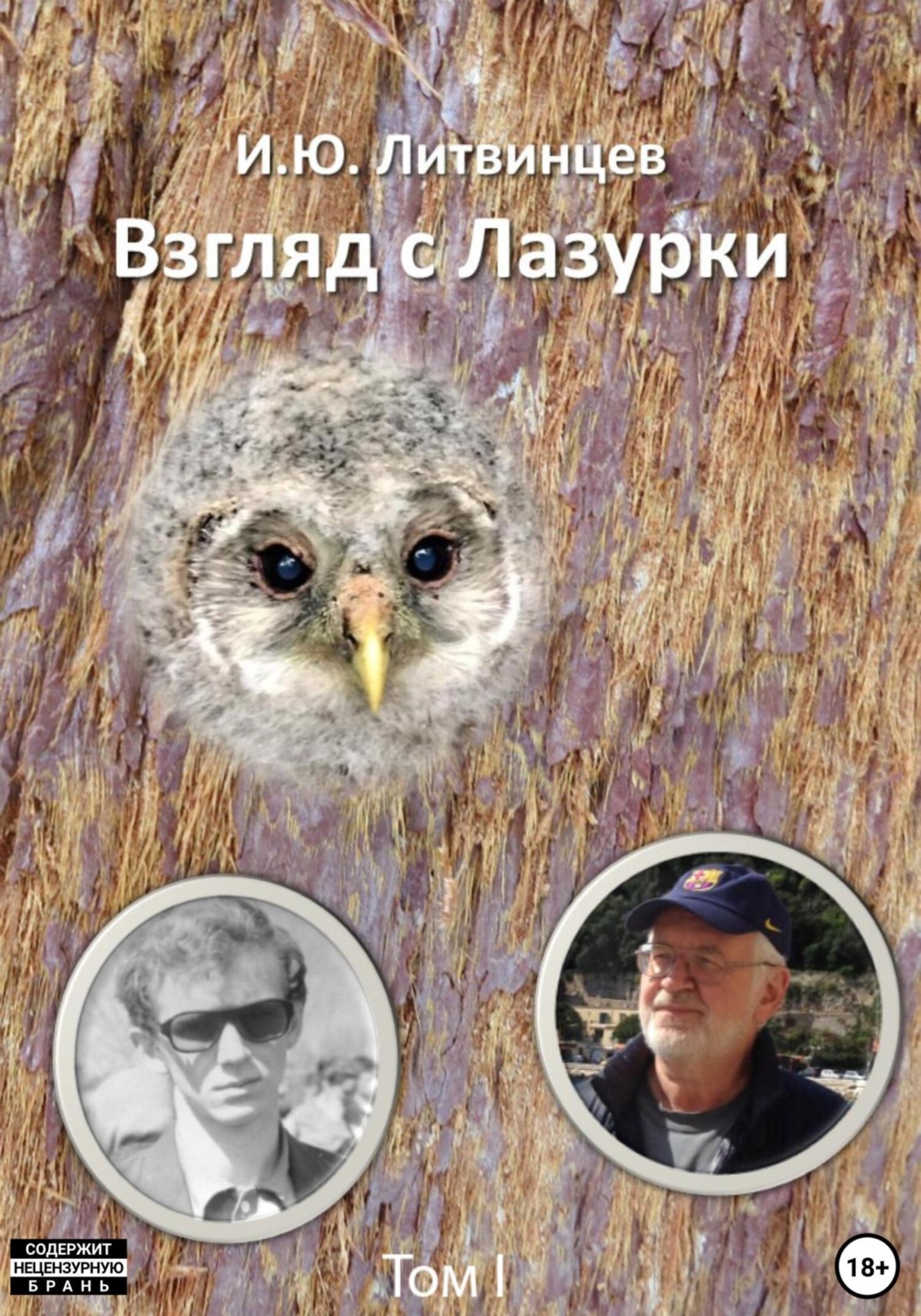 Обложка книги «Взгляд с Лазурки. Том 1»