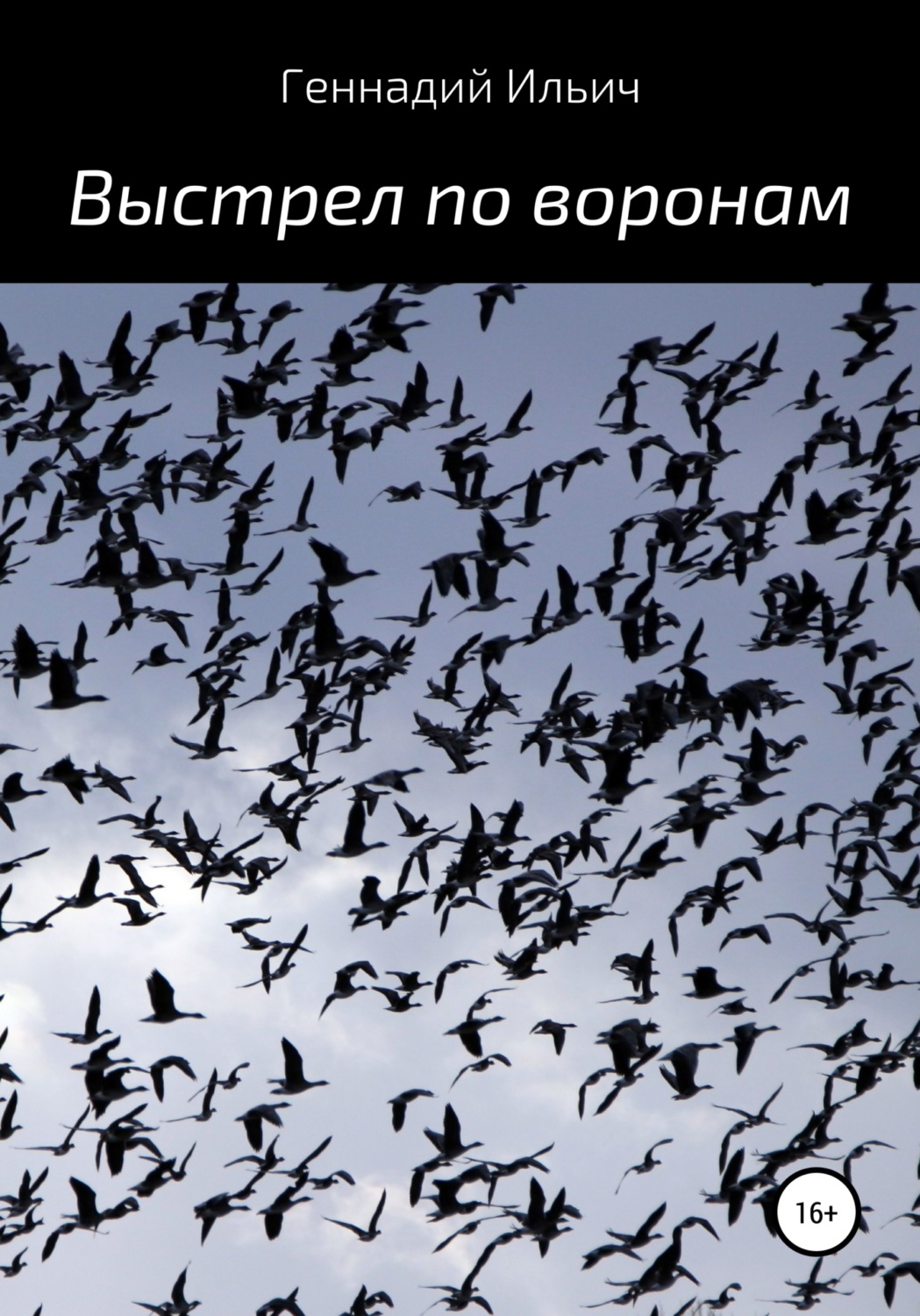 Обложка книги «Выстрел по воронам»