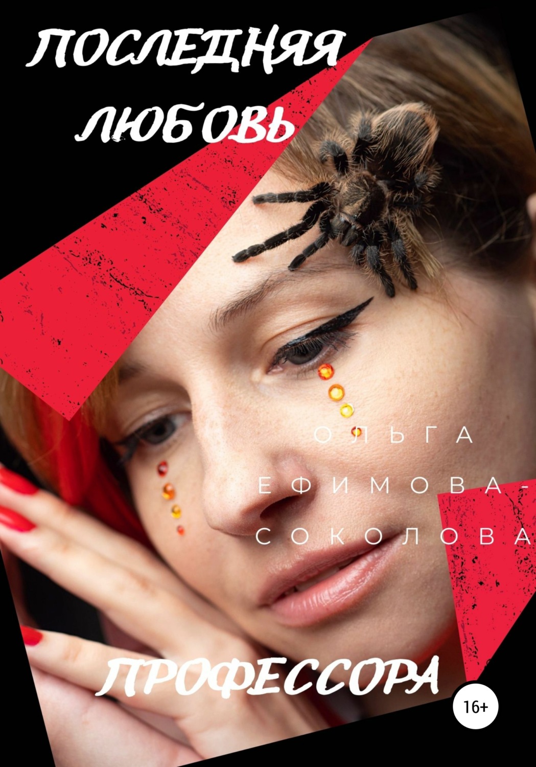 Обложка книги «Последняя любовь профессора»