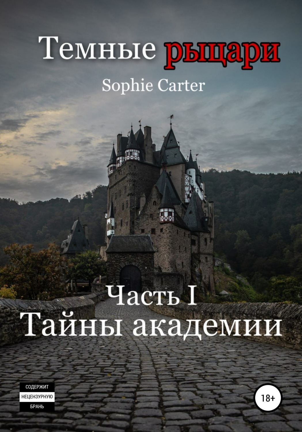 Обложка книги «Темные рыцари. Тайны академии»