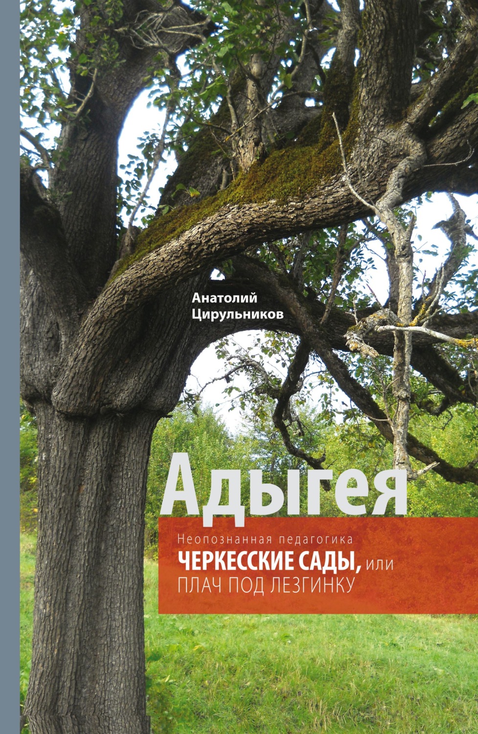 Обложка книги «Неопознанная педагогика. Адыгея. Черкесские сады, или Плач под лезгинку»