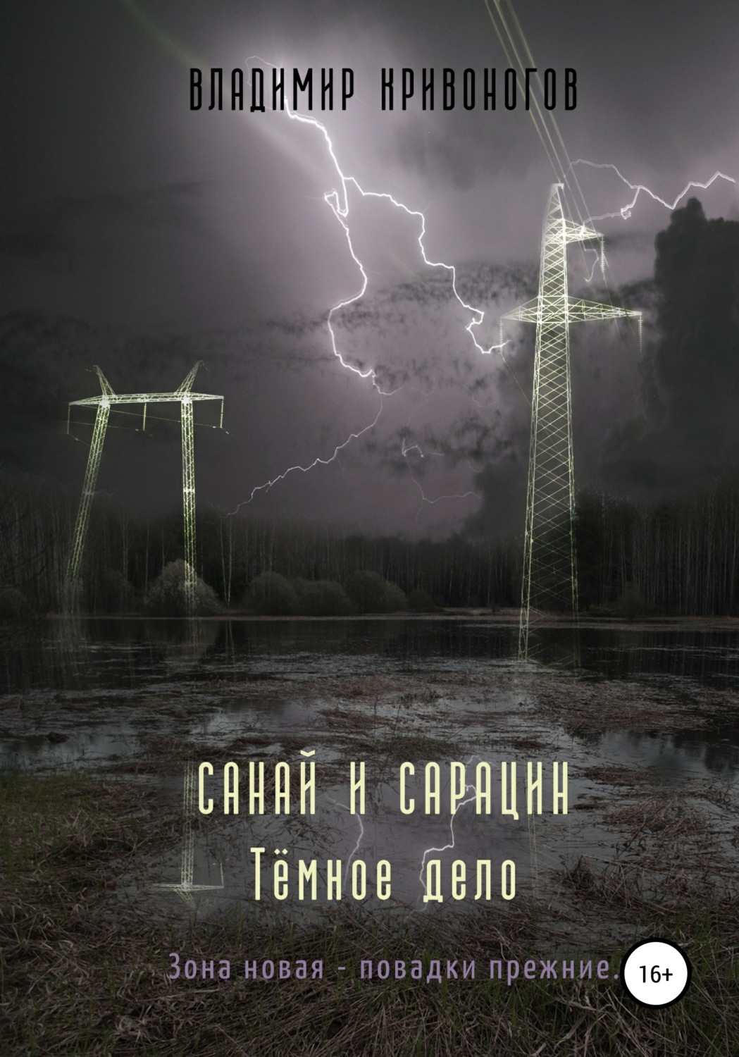 Обложка книги «Санай и Сарацин. Темное дело»