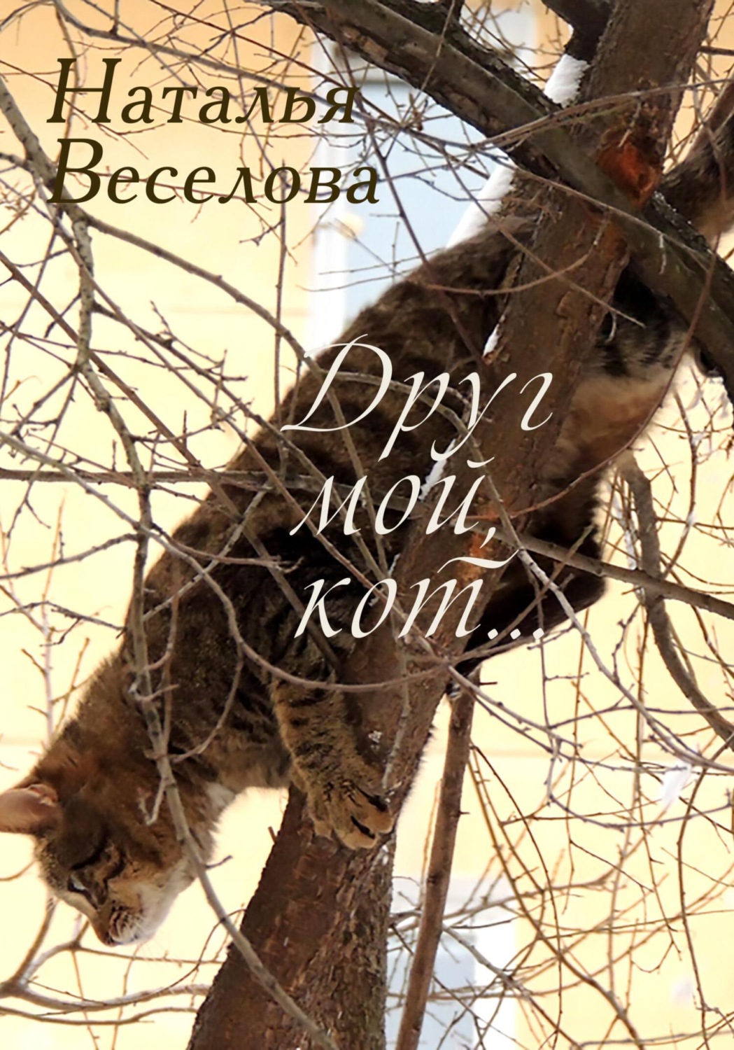 Обложка книги «Друг мой, кот…»