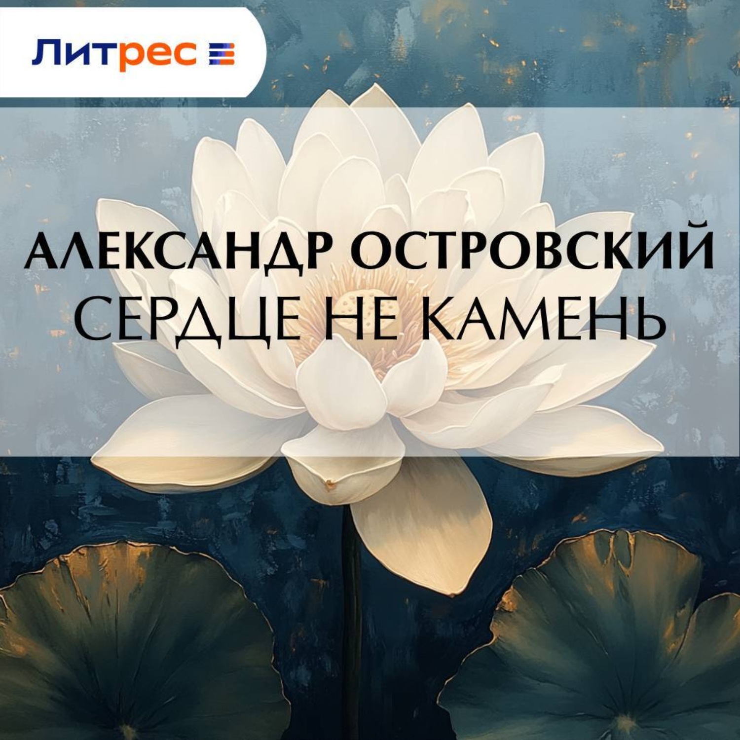 Обложка книги «Сердце не камень»