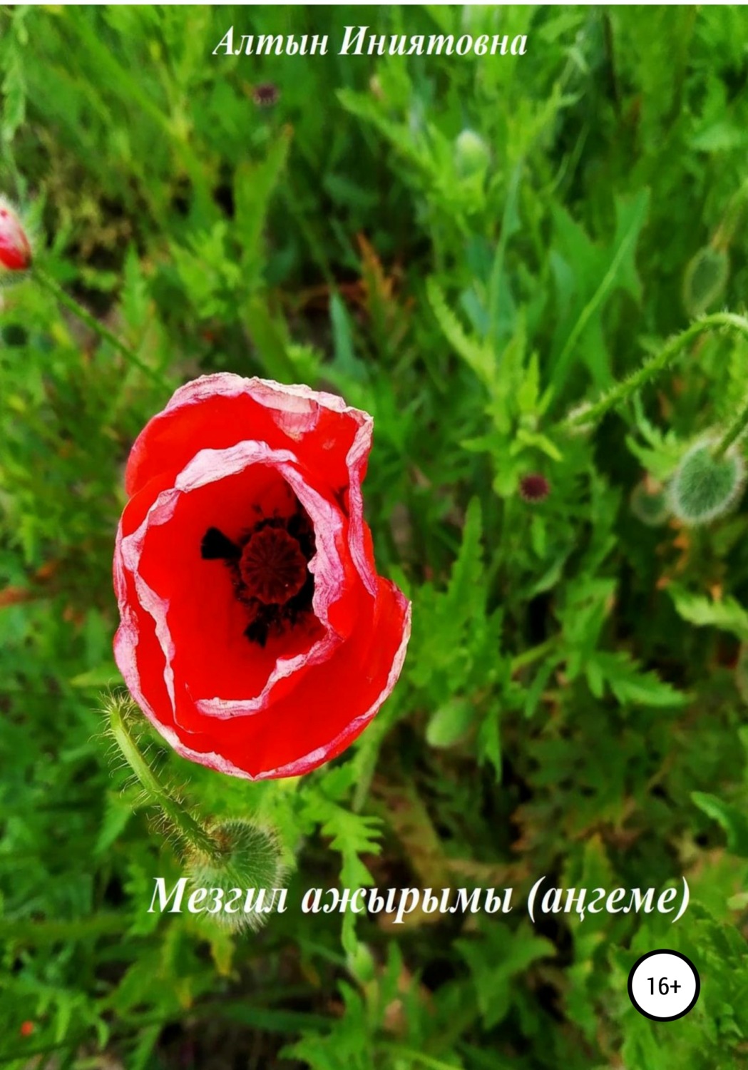 Обложка книги «Мезгил ажырымы»