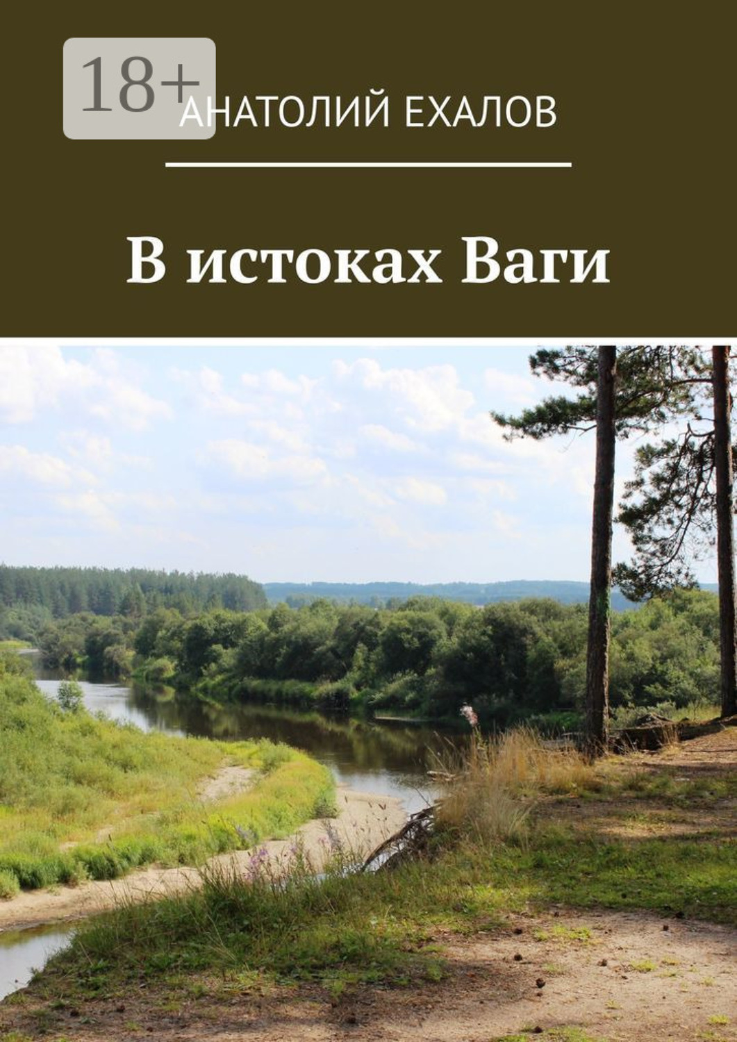 Обложка книги «В истоках Ваги»