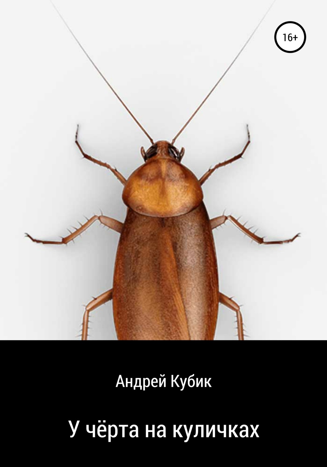 Обложка книги «У чёрта на куличках»